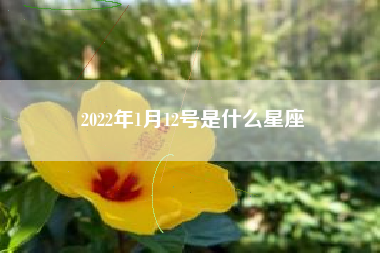 2022年1月12号是什么星座