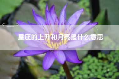 星座的上升和月亮是什么意思