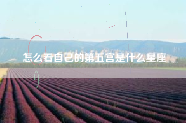 怎么看自己的第五宫是什么星座