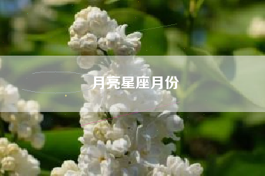 月亮星座月份