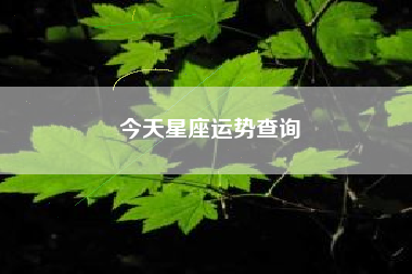 今天星座运势查询