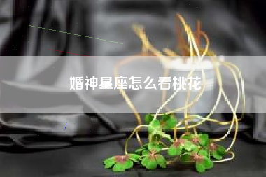 婚神星座怎么看桃花