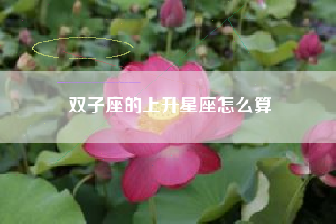 双子座的上升星座怎么算