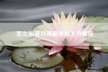 怎么知道月亮星座和上升星座