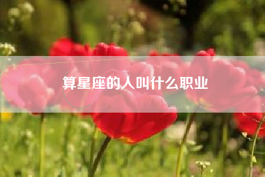 算星座的人叫什么职业