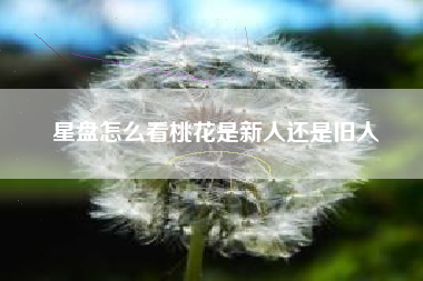 星盘怎么看桃花是新人还是旧人