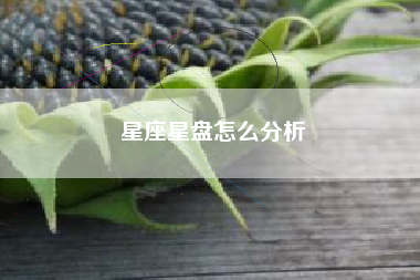 星座星盘怎么分析