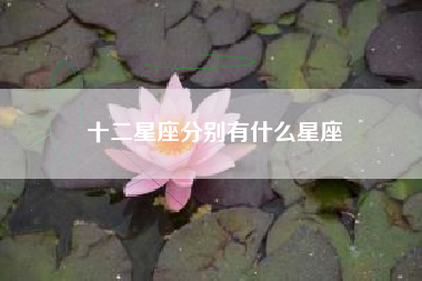 十二星座分别有什么星座