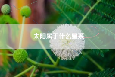 太阳属于什么星系