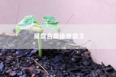 星盘合盘谁是盘主