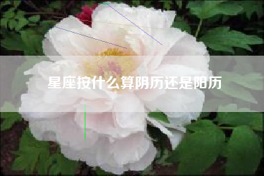 星座按什么算阴历还是阳历