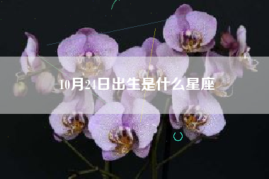 10月24日出生是什么星座