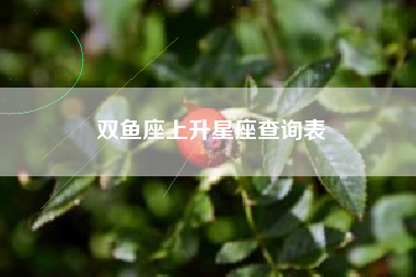 双鱼座上升星座查询表