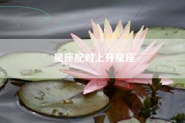 星座配对上升星座