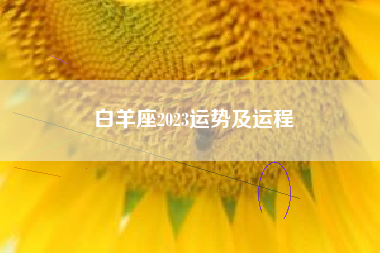 白羊座2023运势及运程