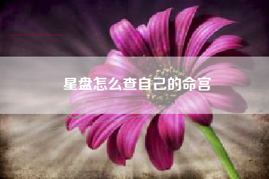 星盘怎么查自己的命宫