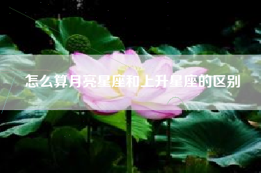 怎么算月亮星座和上升星座的区别