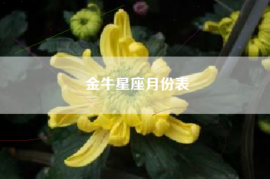 金牛星座月份表