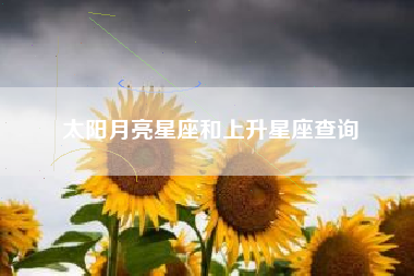 太阳月亮星座和上升星座查询