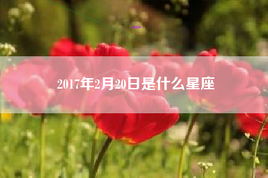 2017年2月20日是什么星座