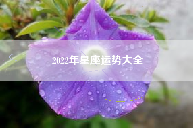 2022年星座运势大全