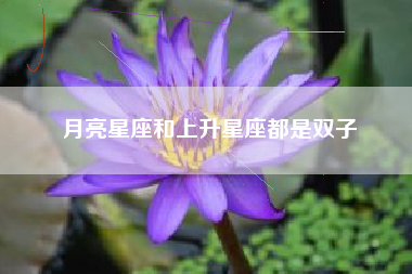 月亮星座和上升星座都是双子