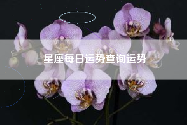 星座每日运势查询运势