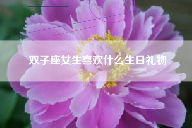 双子座女生喜欢什么生日礼物