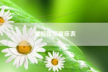 属相婚配星座表