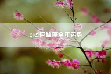 2023巨蟹座全年运势