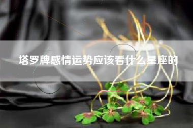 塔罗牌感情运势应该看什么星座的