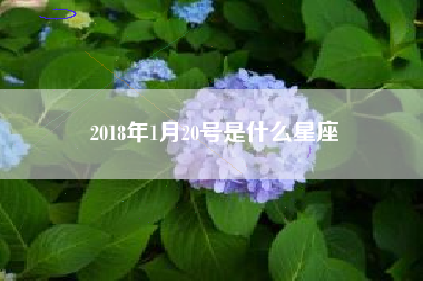 2018年1月20号是什么星座