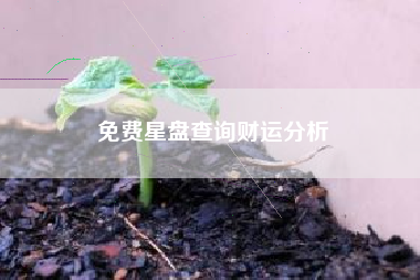 免费星盘查询财运分析