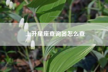 上升星座查询器怎么查