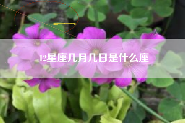 12星座几月几日是什么座