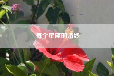 每个星座的婚纱