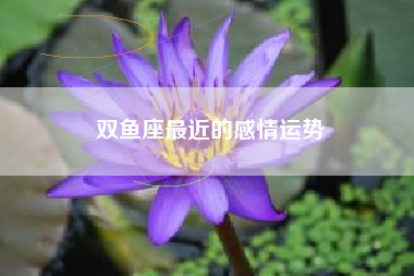 双鱼座最近的感情运势