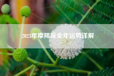 2023年摩羯座全年运势详解