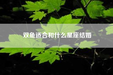 双鱼适合和什么星座结婚