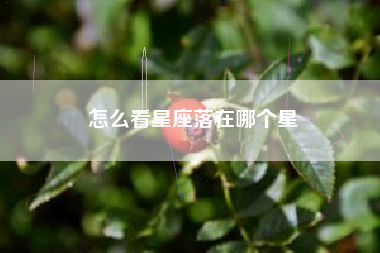 怎么看星座落在哪个星