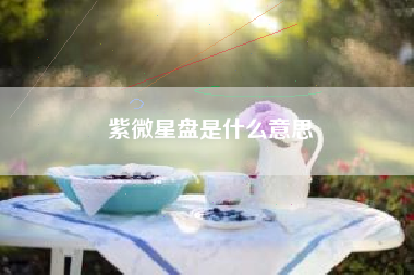 紫微星盘是什么意思