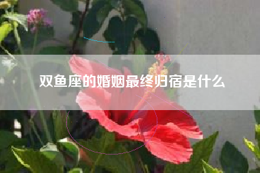 双鱼座的婚姻最终归宿是什么