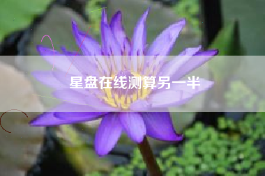 星盘在线测算另一半