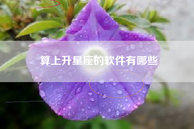 算上升星座的软件有哪些