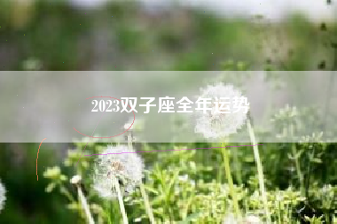 2023双子座全年运势