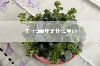 生于2008年是什么星座