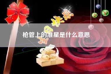 枪管上的准星是什么意思