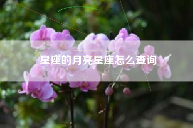 星座的月亮星座怎么查询