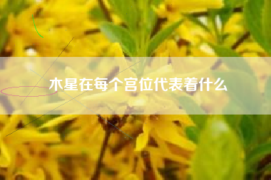 木星在每个宫位代表着什么