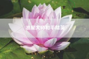 准星大师和平精英